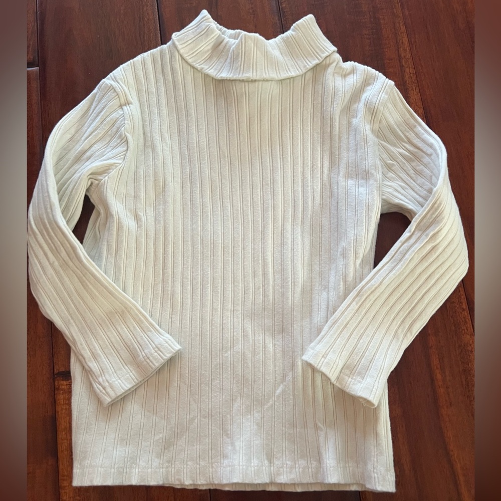Turtle Neck Sweater